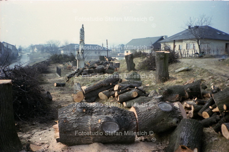 StG 1981 Dreifaltigkeit 2