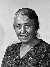 1973 Lichtscheidl Rosa