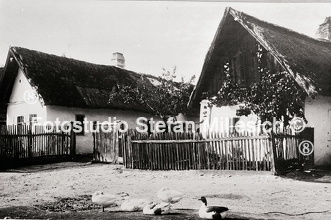 Bauernhaus mit Gänsen