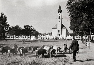 Dorfplatz mit Schweinehüter