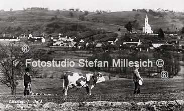 Getreide Aussaat Litzelsdorf