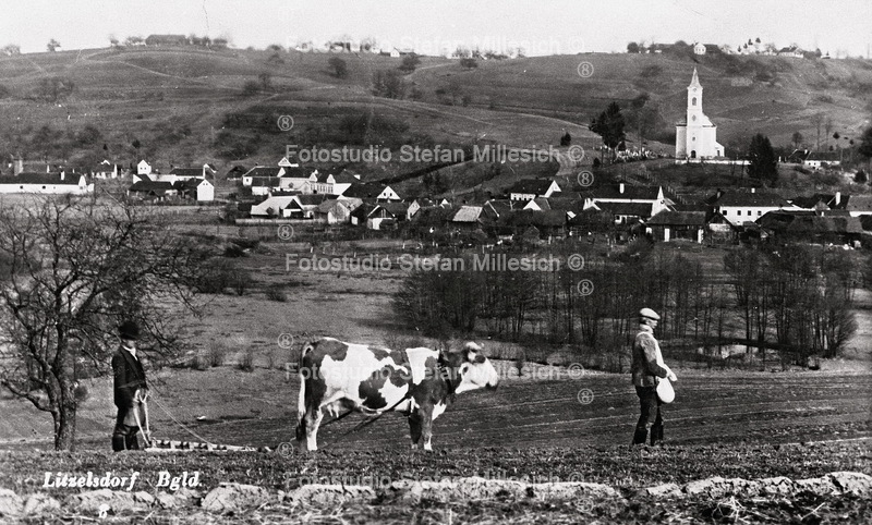 Getreide Aussaat Litzelsdorf
