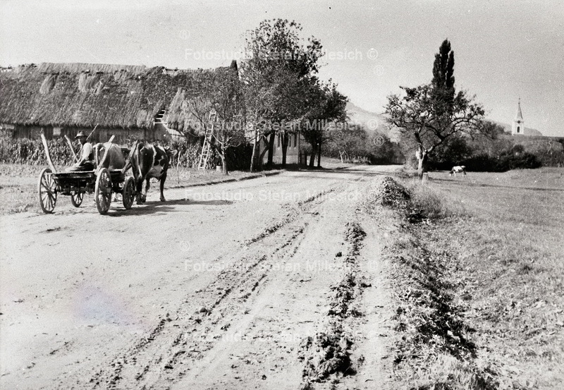 Ortsansicht mit Ochsemwagen
