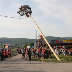 Maibaum St.Georgen 2018