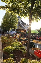 Markt 080