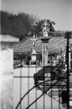 1979 Kreuze Friedhof