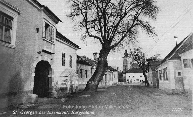 104691386 4296954453655498 5460080811400283524 n[1]