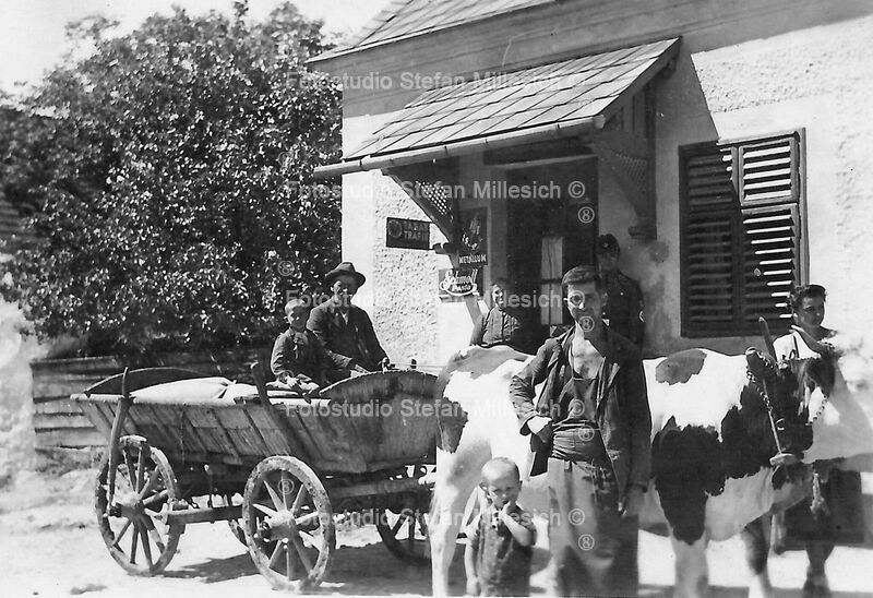 R007 - 0000c# um ca 1920 Opa mit Kuhwagen